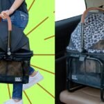 The Pet Gear Carrier Is Safer For Travel, According To Vets
